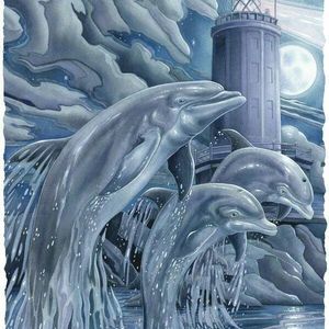 Meet your Posher, Donna